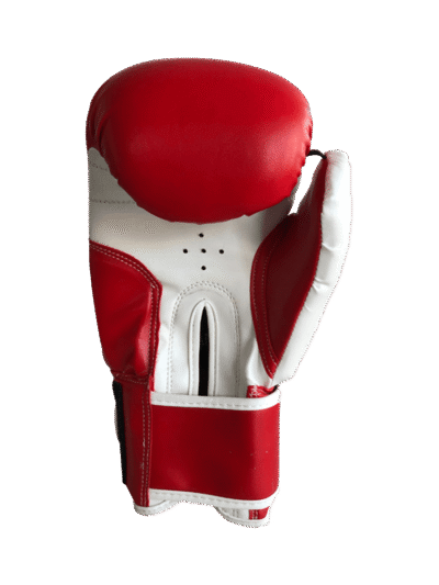 Pro Style Training Gloves