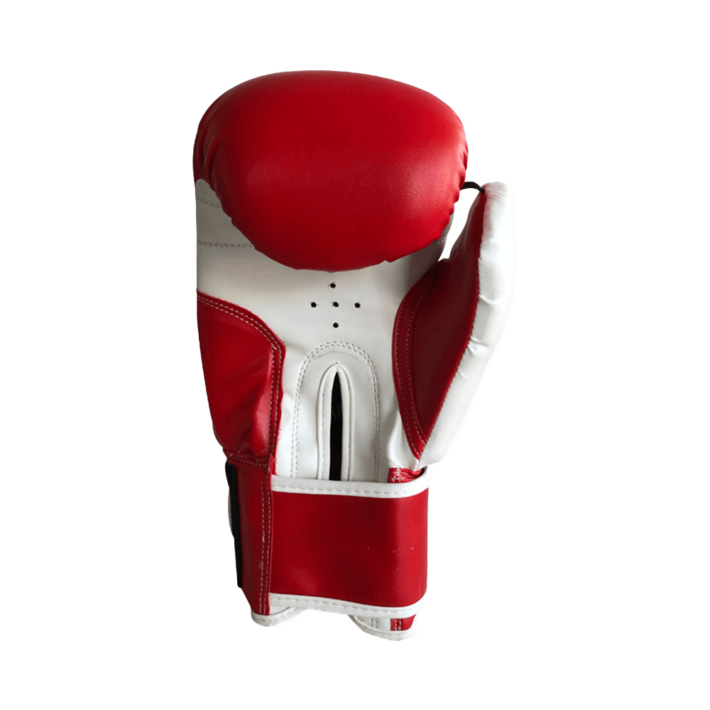 Pro Style Training Gloves